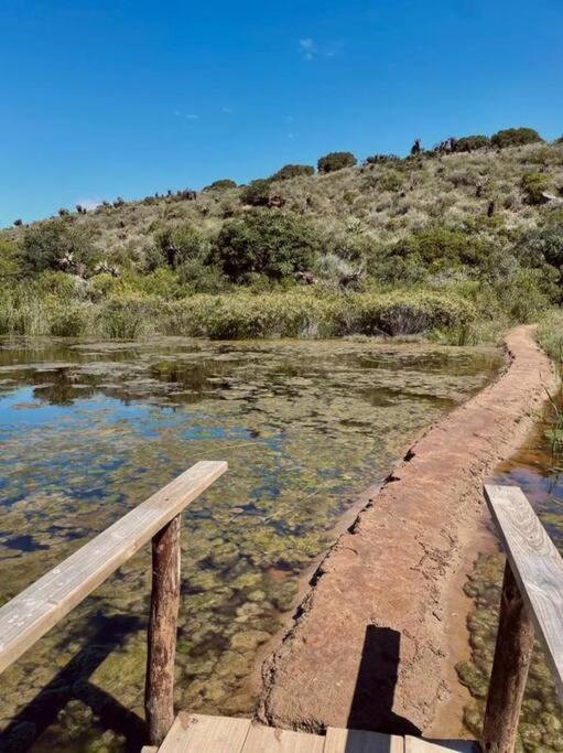 Owl Cottage - Living The Breede Malgas Dış mekan fotoğraf